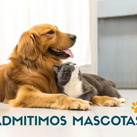 La Maruca 3000 Appartement *